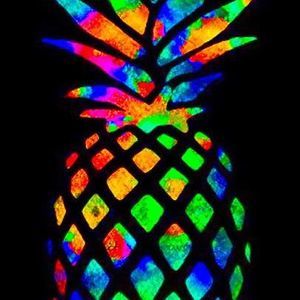 Meet your Posher, Shane